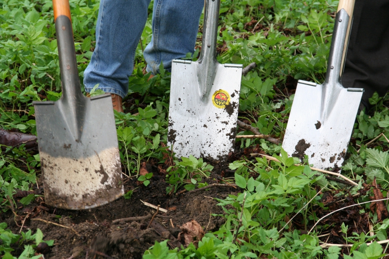 pepiniere-LA CROIX VALMER-min_work-lawn-flower-tool-green-backyard-1103633-pxhere.com